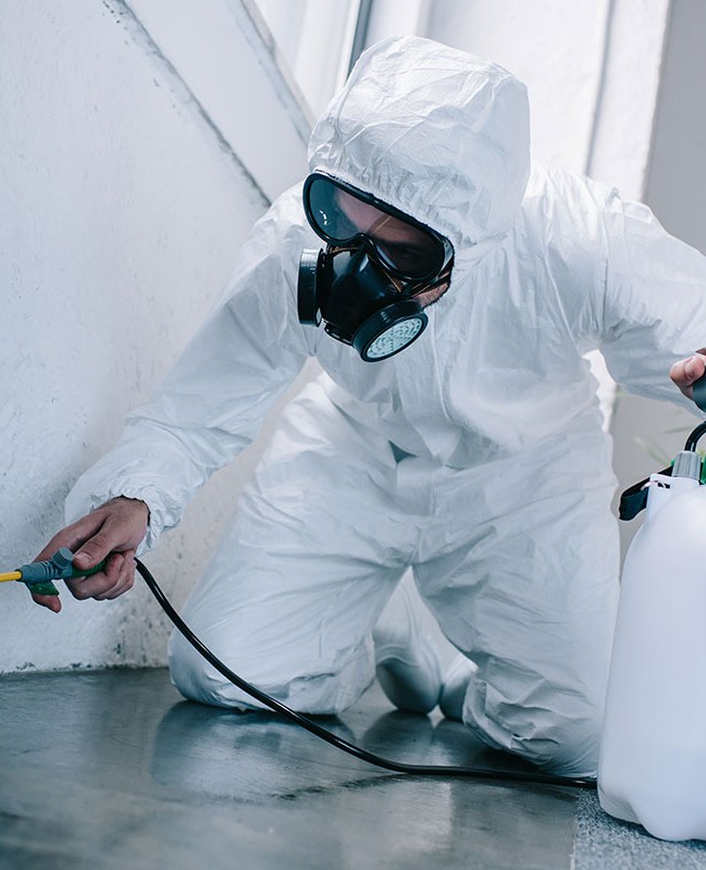 Licensed pest control technician treating a home interior
